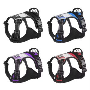 gdh0010 reflective nylon pet chest & vest with personalized lace decoration wholesale dog traction strap for pet supplies