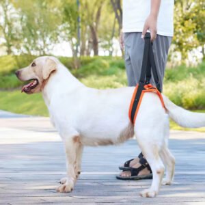 pz0005 portable pet dog hind leg rehabilitation belts adjustable support straps injurydisability elderly dogs with walking aids