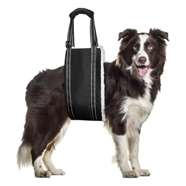 pz0004 dog leg sling walking support elderly dogs disability injury pet traction rope dog auxiliary belt rehabilitation walking aid