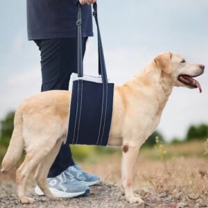 pz0004 dog leg sling walking support elderly dogs disability injury pet traction rope dog auxiliary belt rehabilitation walking aid