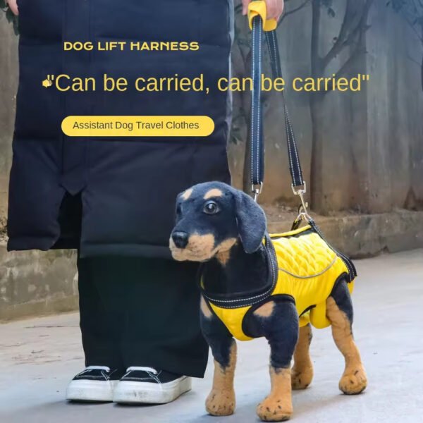 pz0006 multi functional can carry rehabilitation clothing wholesale cross border special dogs assist travel pet carriers travel