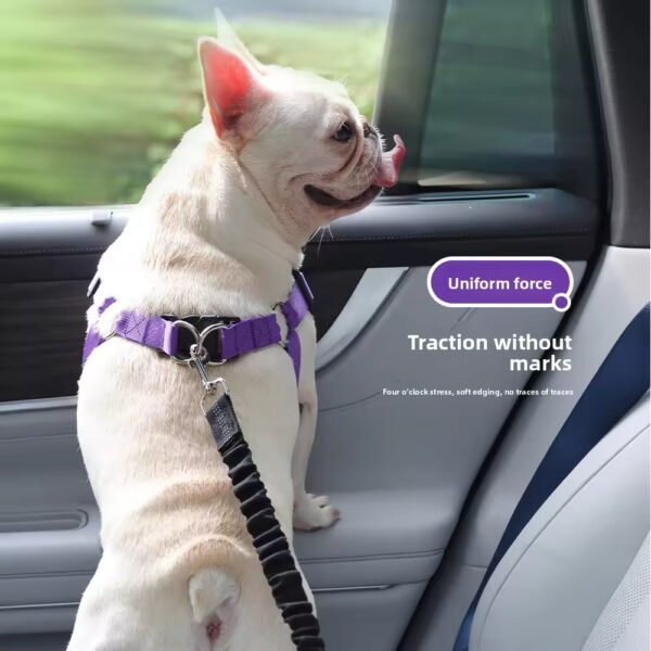bdh0007 560 classic vehicle mounted dog harness big and small comfortable stable protection padded polyester dog harness