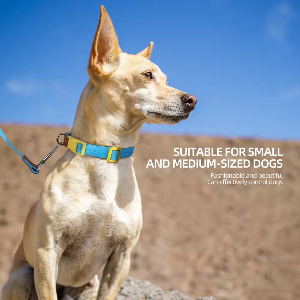 gpl0002 new solid pattern polyester pet collar set for small and medium sized dogs anti breakaway padded dog leash collar