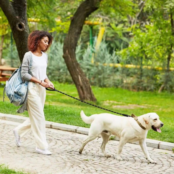 gpl0005 pet dog nylon rope leashes reflective soft pet leash for dogs