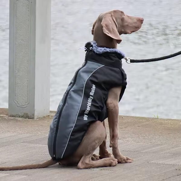 pcl0001 reflective fur collar warm winter dog clothes vest windbreaker pet jacket coat with harness for medium large dogs