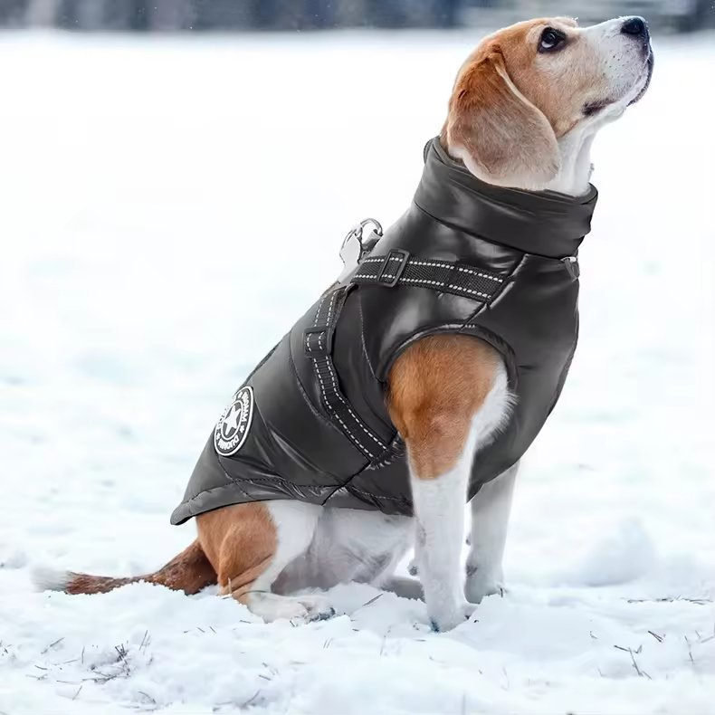 pcl0004 waterproof warm pet bright color jacket dog clothes reflective outdoor winter dog vests coats
