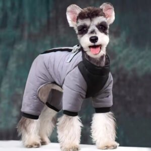 pcl0002 dog supplie zipper tides designer name brand jackets letter printing bichon dog french bulldog pet clothes clothing supplies