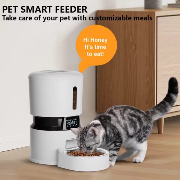gpf0001 4l smart dosing automatic pet feeder modern app bluetooth dual camera cat dog feeder plastic charged power source