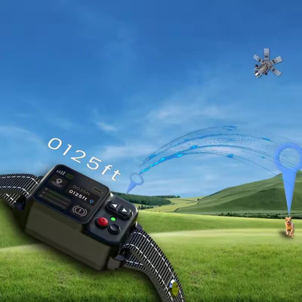 wireless electronic fence