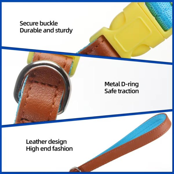 gpl0002 new solid pattern polyester pet collar set for small and medium sized dogs anti breakaway padded dog leash collar