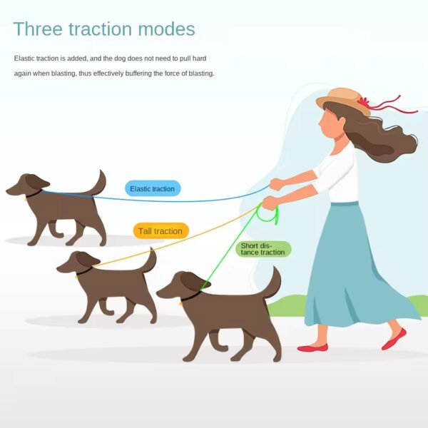 multifunctional explosion proof nylon bungee dog leash with comfort sponge handle, carabiner clip and no pull ergonomic grip for for walking