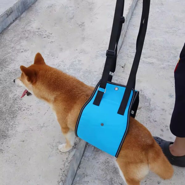 pz0003 pet dog assistive belt with leg injury assistive equipment for walking of pet old dogs