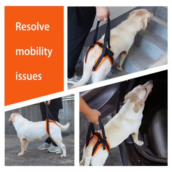 pz0005 portable pet dog hind leg rehabilitation belts adjustable support straps injurydisability elderly dogs with walking aids