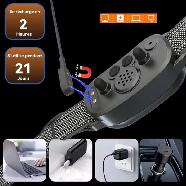 gdt0006 no shock dog anti bark collar and dog bark collar anti barking training device double vibration