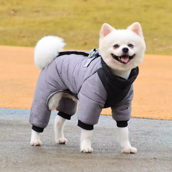 pcl0002 dog supplie zipper tides designer name brand jackets letter printing bichon dog french bulldog pet clothes clothing supplies