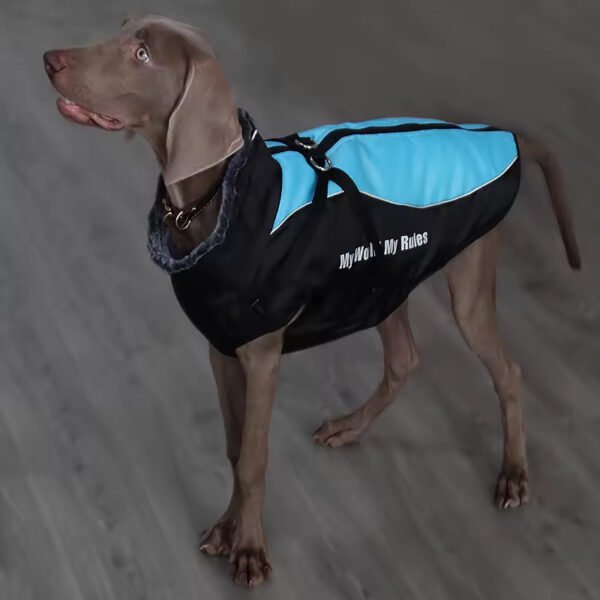 pcl0001 reflective fur collar warm winter dog clothes vest windbreaker pet jacket coat with harness for medium large dogs