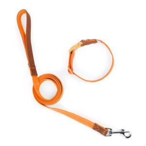gpl0002 new solid pattern polyester pet collar set for small and medium sized dogs anti breakaway padded dog leash collar