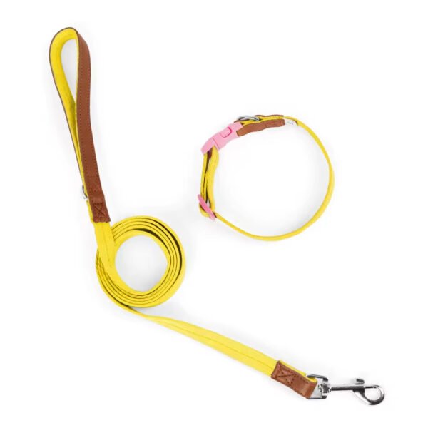 gpl0002 new solid pattern polyester pet collar set for small and medium sized dogs anti breakaway padded dog leash collar