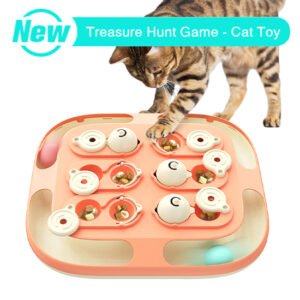cat/kitty/kitten treasure hunt game cat toy